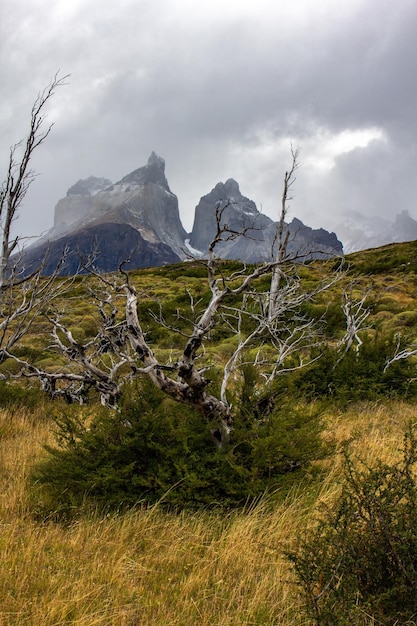 Camino al mirador Parque Nacional Los Cuernos Torres del Paine en la Patagonia chilena