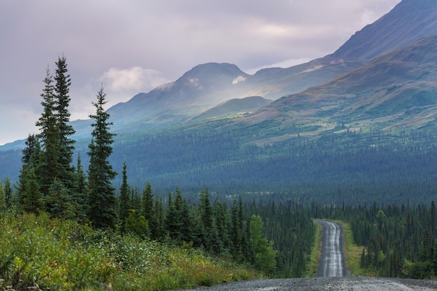 Camino en Alaska