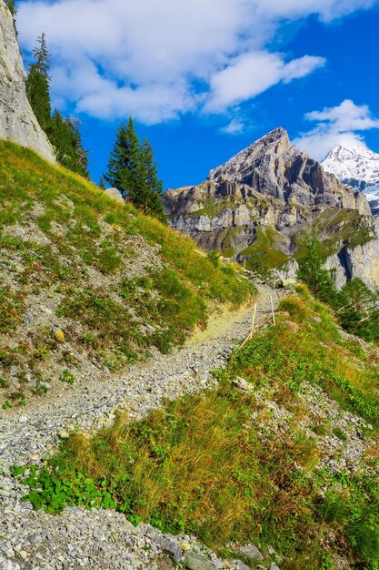 Foto camino de los alpes berneses montañas nevadas suiza