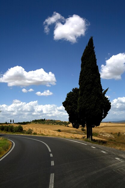 Foto camino por los árboles en el campo contra el cielo