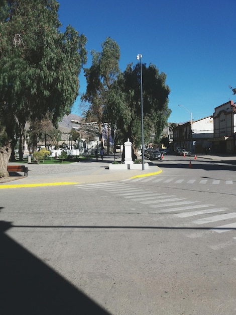 Foto camino por los árboles en la ciudad contra un cielo despejado