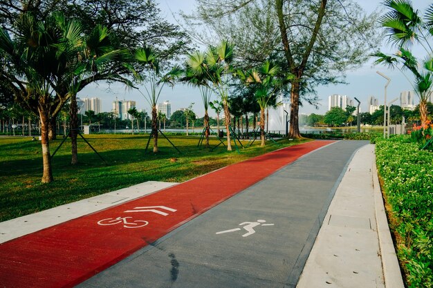 Foto camino por los árboles en la ciudad contra el cielo