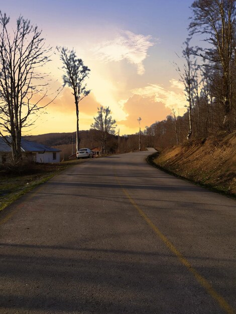 Foto camino por los árboles contra el cielo durante la puesta de sol