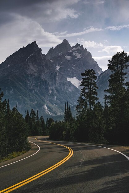 Foto camino por los árboles contra el cielo