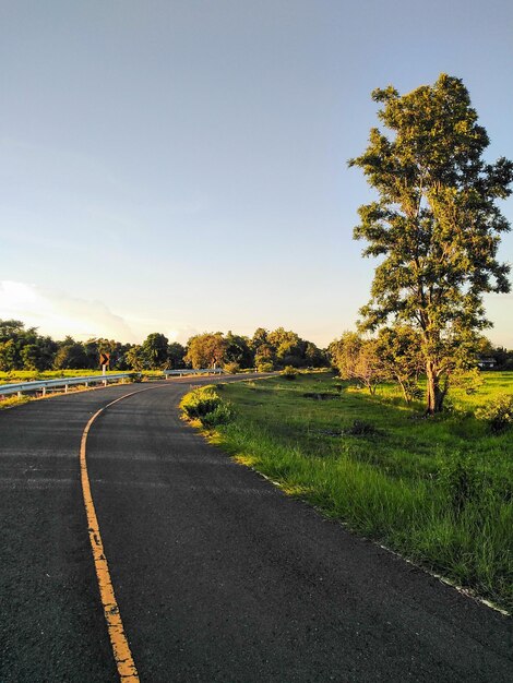 Foto camino por los árboles contra el cielo