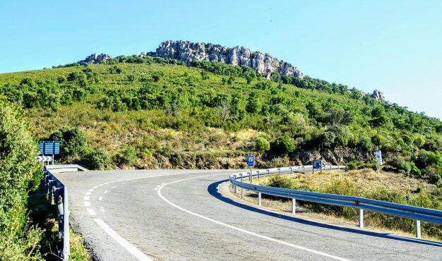 Foto camino por los árboles contra el cielo