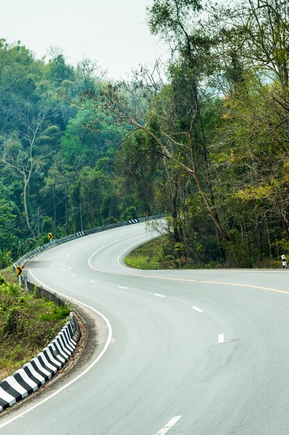 Foto camino entre árboles contra el cielo