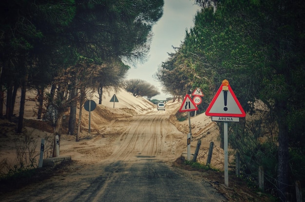 Camino entre árboles contra el cielo