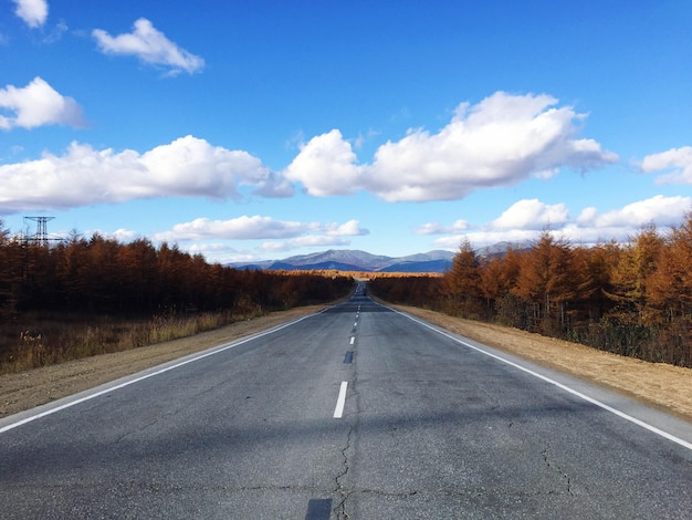 Foto camino por los árboles contra el cielo