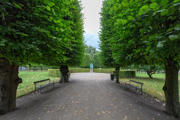 Camino entre árboles en el parque