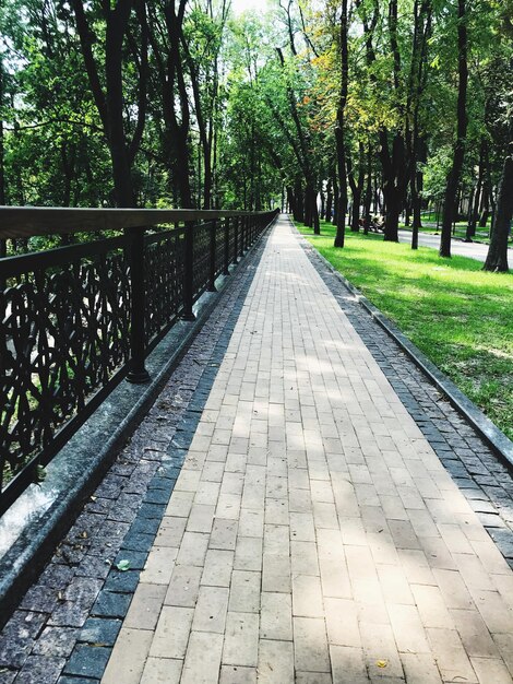 Camino entre árboles en el parque