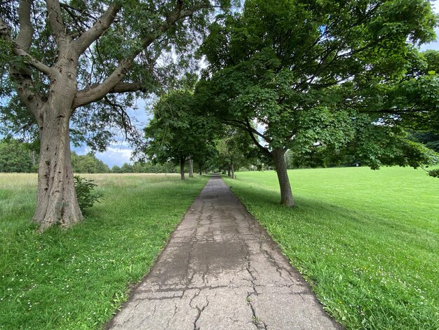Foto camino con árboles viejos y campos en roberts park bradford, reino unido