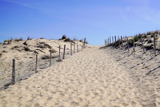 Camino de arena acceso al mar de la playa del océano con cerca en el día de verano