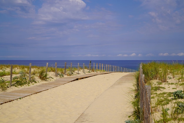 Camino de arena acceso a la playa del mar en Lege cap ferret ocean en Francia