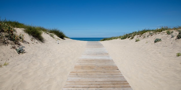 Camino de arena de madera para acceder al mar de Le Verdon a la costa de la playa atlántica en Gironda, Francia