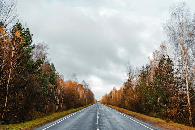 Camino, autopista en bosque otoñal