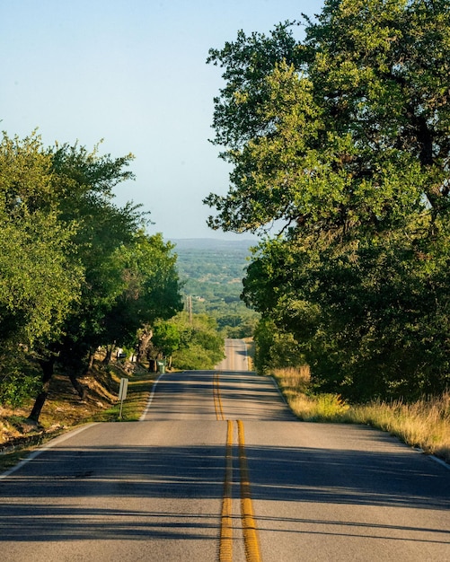 Camino de barrido entre árboles verdes en un día soleado en Austin, Texas