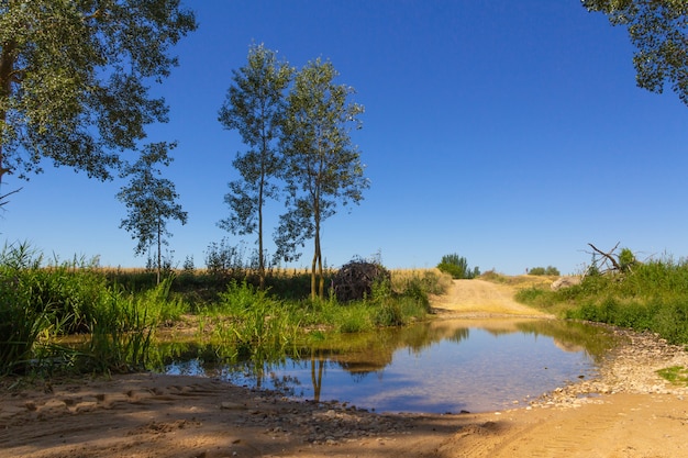 Camino de barro atravesado por río. Lodo. Pantano.