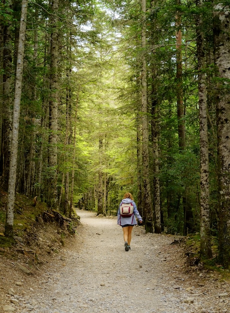 Camino en el bosque entre altos árboles verdes con mujer caminando de excursión.