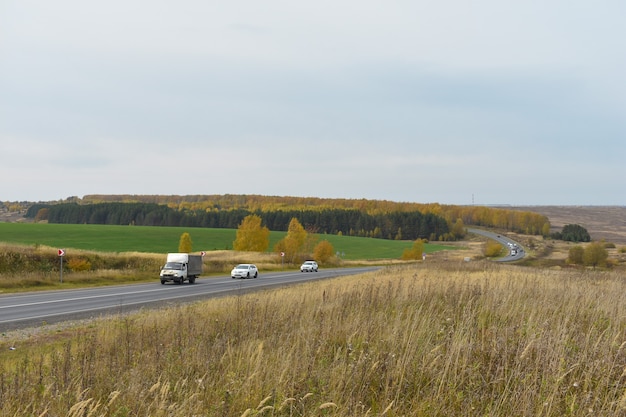 Camino por el bosque y el campo en otoño.