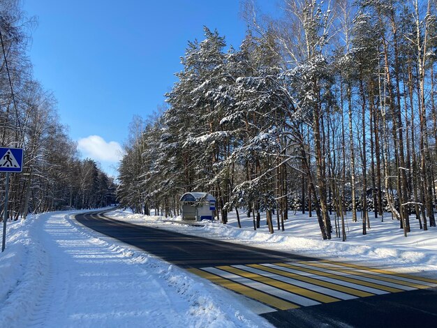 camino entre un bosque de invierno cubierto de nieve cielo azul día helado soleado hermoso invierno