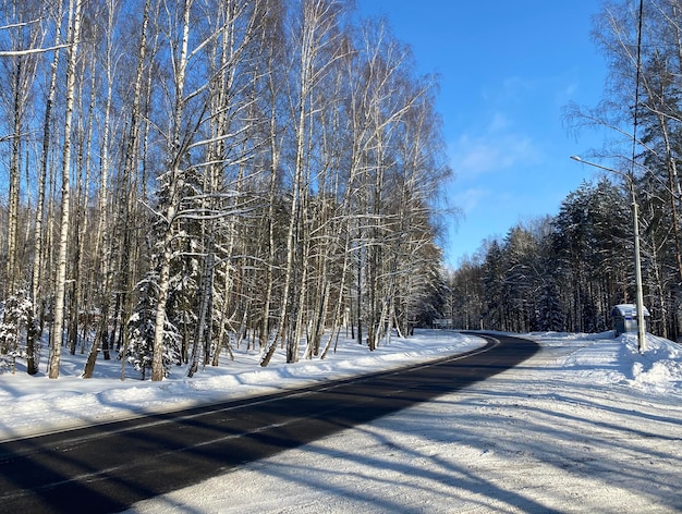 Foto camino entre un bosque de invierno cubierto de nieve cielo azul día helado soleado hermoso invierno