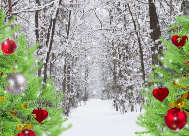 Camino en el bosque de invierno nevado con árboles de hoja perenne decorados