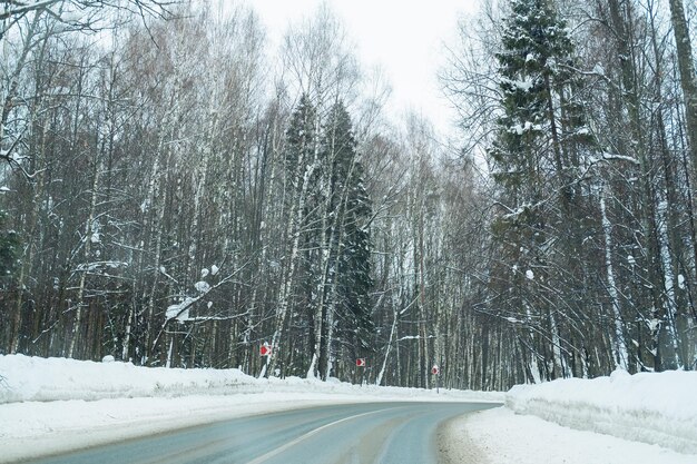 Camino por el bosque de invierno