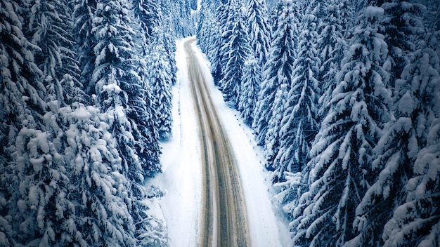 Camino y bosque nevados de la montaña, opinión del abejón. Camino y bosque nevados de la montaña, opinión del abejón. Maravilloso paisaje invernal.