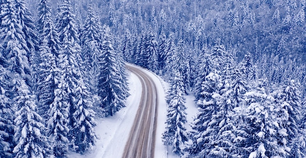 Camino y bosque nevados de la montaña, opinión del abejón. Camino y bosque nevados de la montaña, opinión del abejón. Maravilloso paisaje invernal.