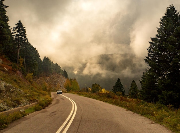 Camino en el bosque de otoño con árboles con follaje amarillo y nubes en la isla de Evia Grecia