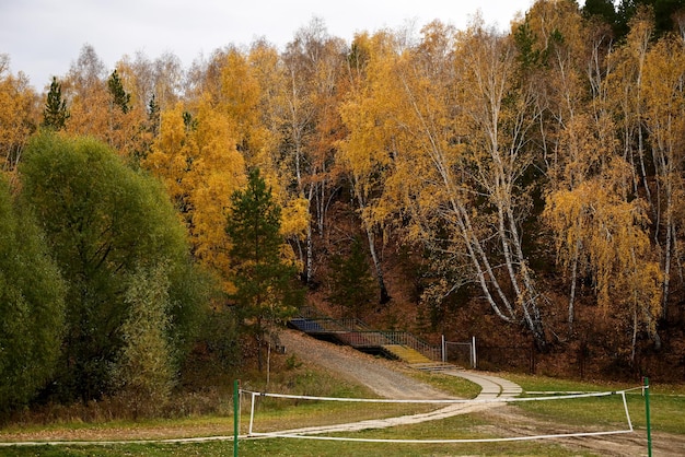 El camino hacia el bosque de otoño hojas de otoño primer plano