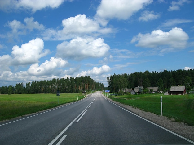 El camino en los bosques de Estonia