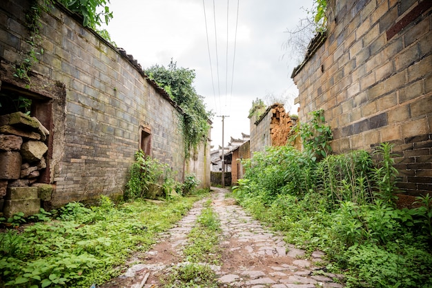 Camino del callejón del país