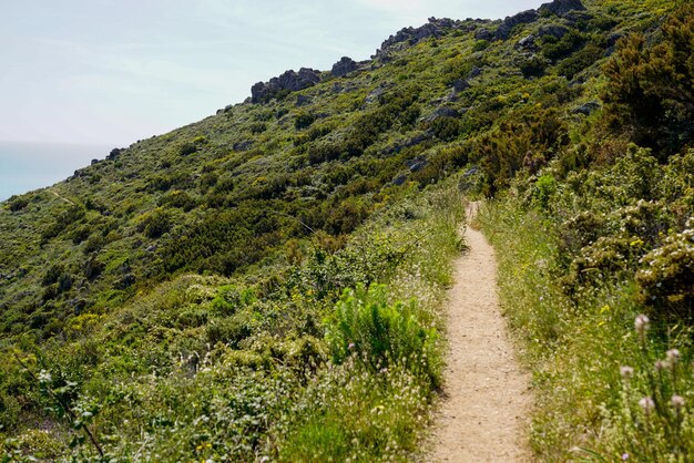 Foto camino camino de tierra colina pirineos orientales en languedoc-roussillon francia
