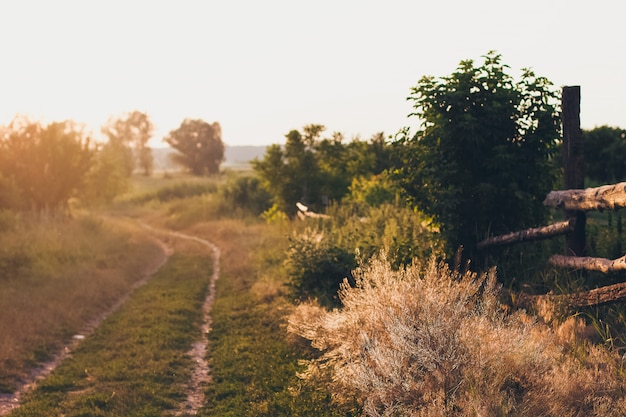 Camino de campo al atardecer