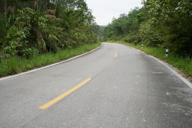 camino del campo de asfalto