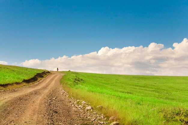 Camino en campo con caminante