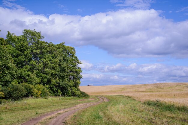 Camino en el campo en un día de verano