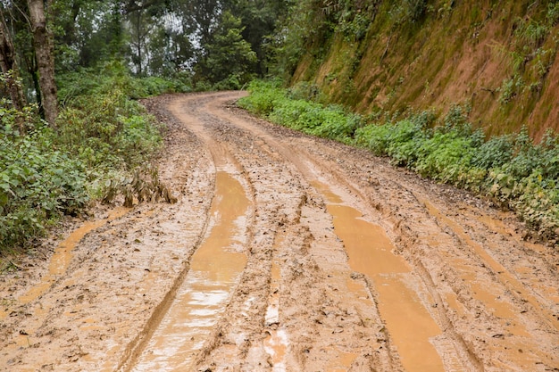 Camino de campo húmedo y fangoso en Chiang Mai, al norte de Tailandia, camino de barro en el bosque, naturaleza, paisaje rural, charco de arcilla marrón, transporte en el país