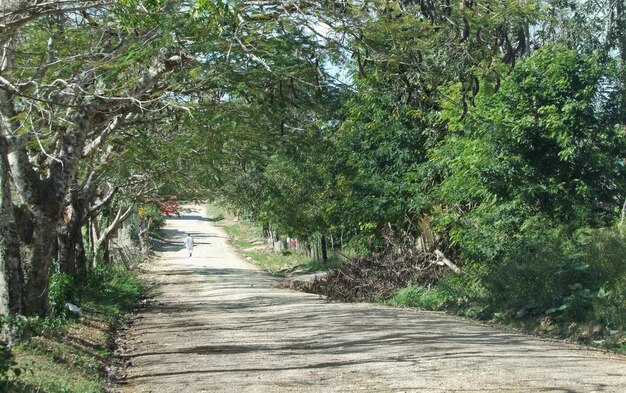 Foto camino de campo polvoriento