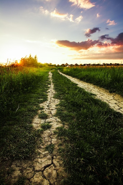 Camino en el campo y puesta del sol. Paisaje rural