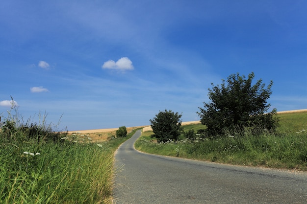 Camino en el campo en verano bajo el sol.