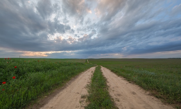 camino hacia el campo verde y el cielo azul