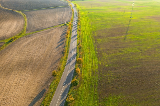 Camino entre el campo verde y la tierra cultivada con árboles amarillos al atardecer en otoño. Vista aérea en carretera o callejón de árboles. Concepto de agricultura.