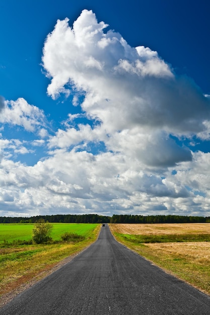 camino en el campo