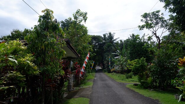 Un camino con una casa y un letrero que dice 'el camino está abierto a la selva'. '