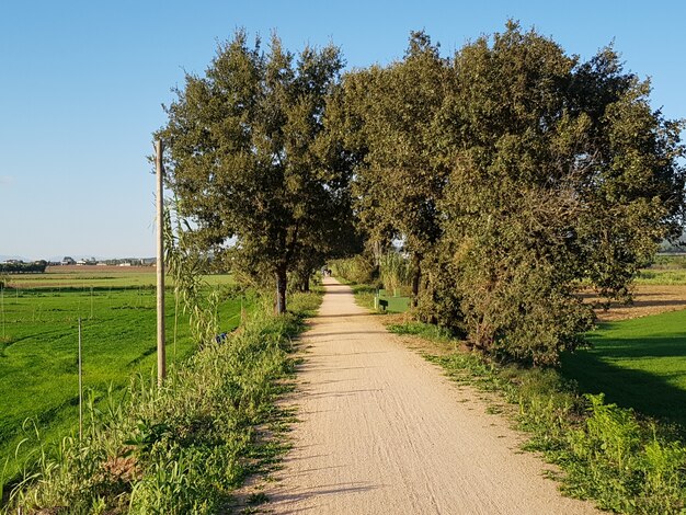 camino de ciclismo