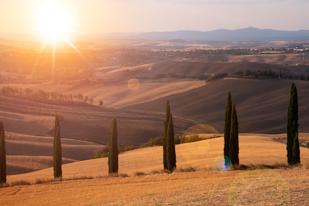 Camino con cipreses al atardecer en Toscana Italia