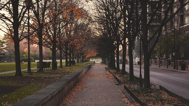 Camino de la ciudad de otoño en Columbus